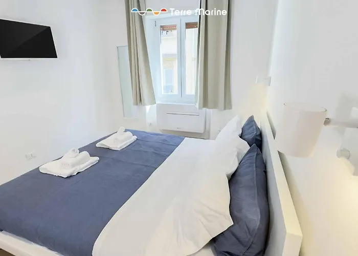 Sapri 29, Terre Marine